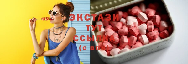 ECSTASY Богородицк