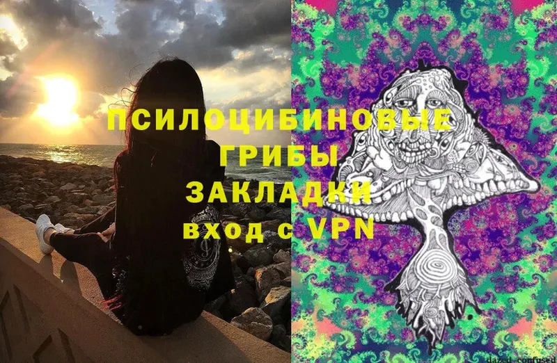 Галлюциногенные грибы Cubensis Кимовск